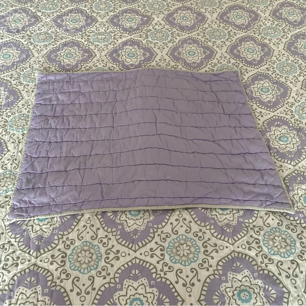 Pottery Barn Kids Lavender Dots and White Quilt and Sham Set
